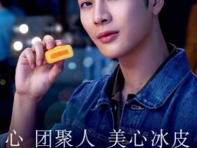 香港美心传统月饼 更具有节日情怀 河南美心月饼总代理
